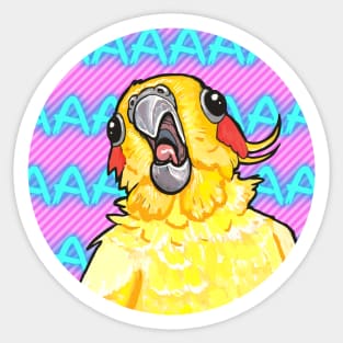 Screaming Cockatiel Sticker